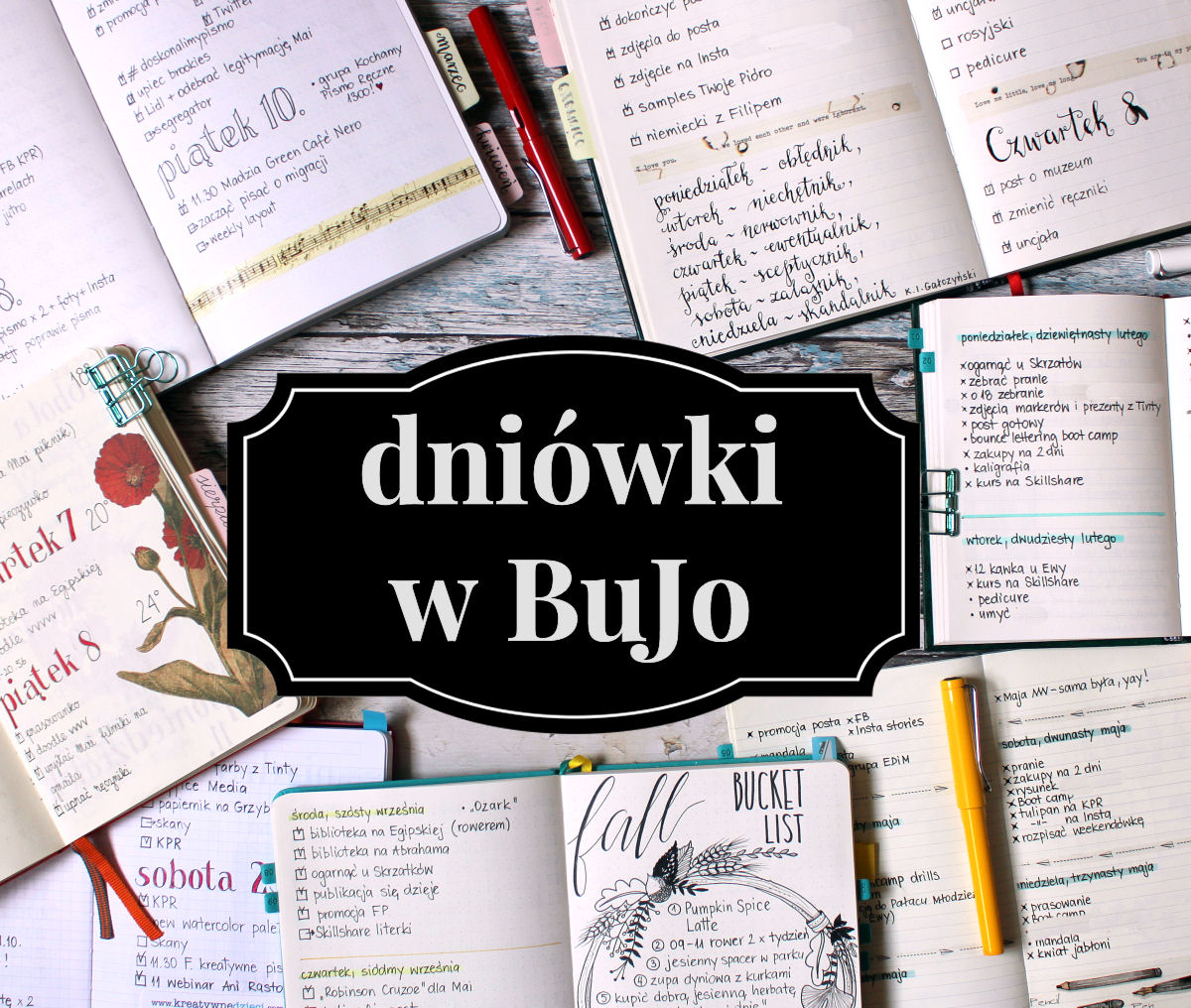 bujo dniówka tygodniówka dailies daily planowanie sierysuje.pl bullet journal dniówki