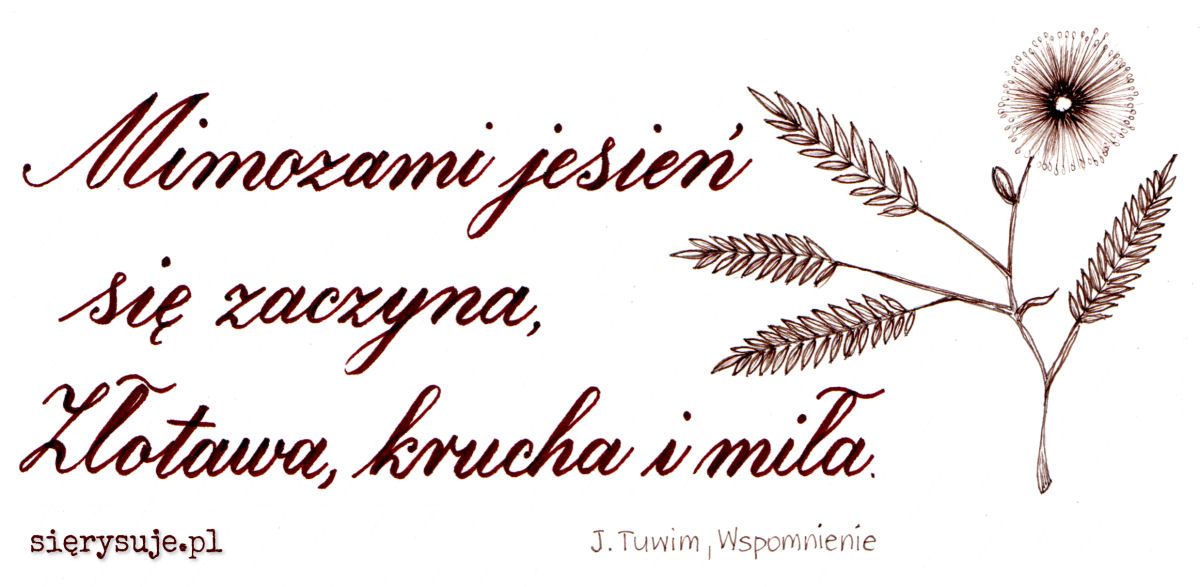 sierysuje.pl jesienne #doskonalimypismo wyzwanie kaligrafia