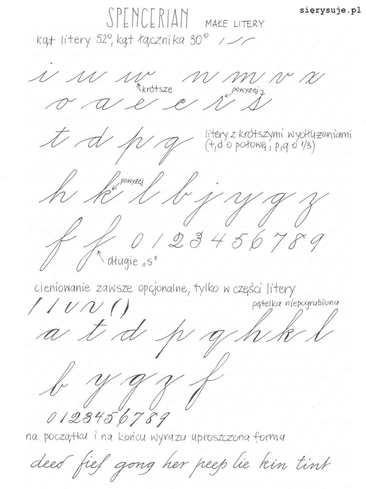 sierysuje.pl spencerian script